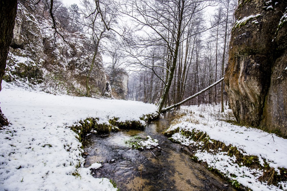 Funkcjonowanie Urzędu Gminy Liszki w dniach 24.12 i 31.12.2018r