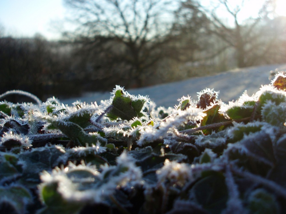 Ostrzeżenie meteorologiczne - przymrozki